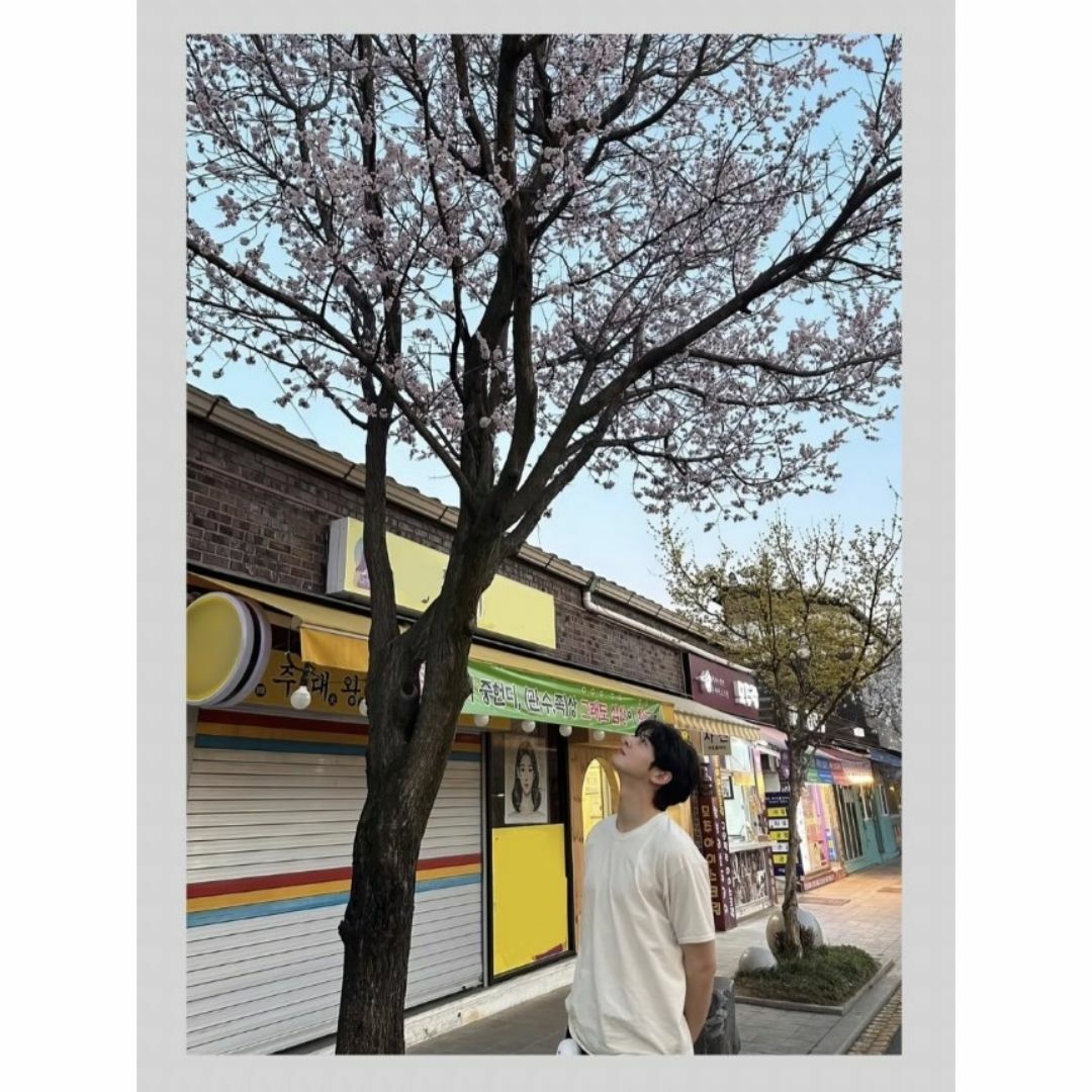 【AS1708:CHA EUN-WOO (チャウヌ)】/ASTRO 写真L版 エンタメ/ホビーのタレントグッズ(アイドルグッズ)の商品写真