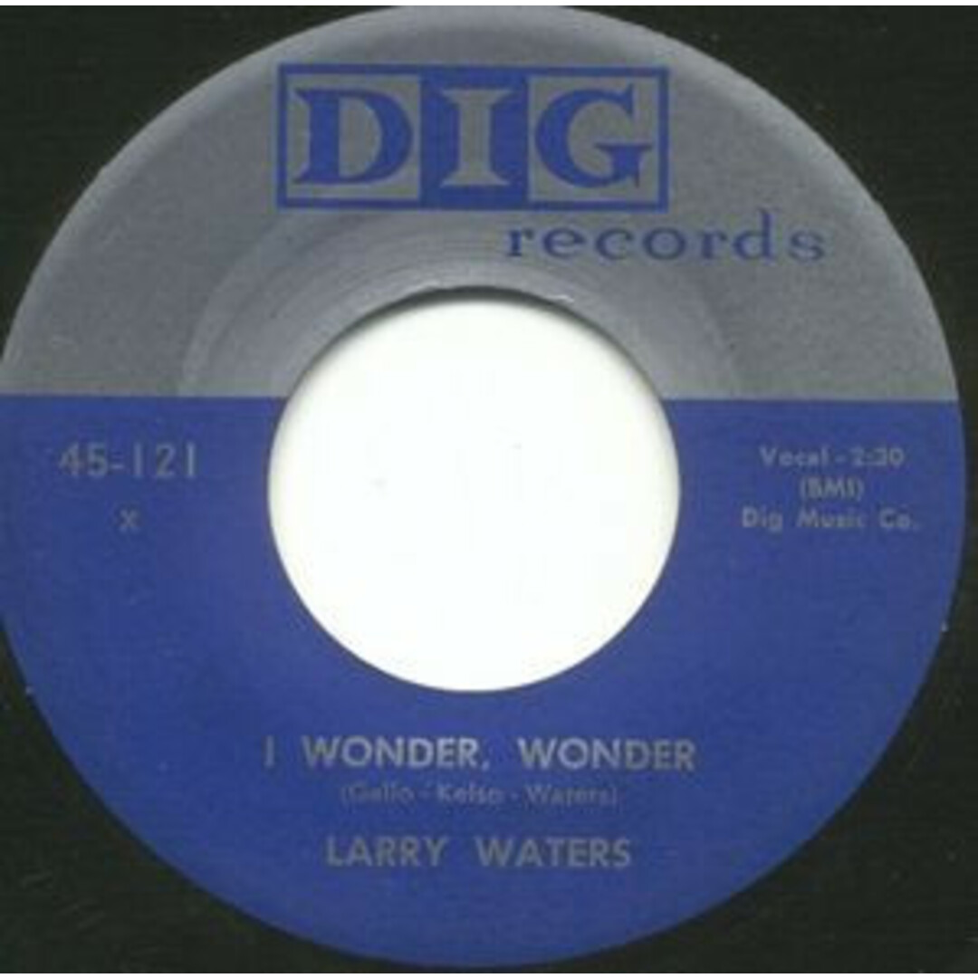 欧7” Larry Waters, Preston Love & H I Wonder, Wonder / Country Boogie 116 Dig Records /00080 エンタメ/ホビーのエンタメ その他(その他)の商品写真