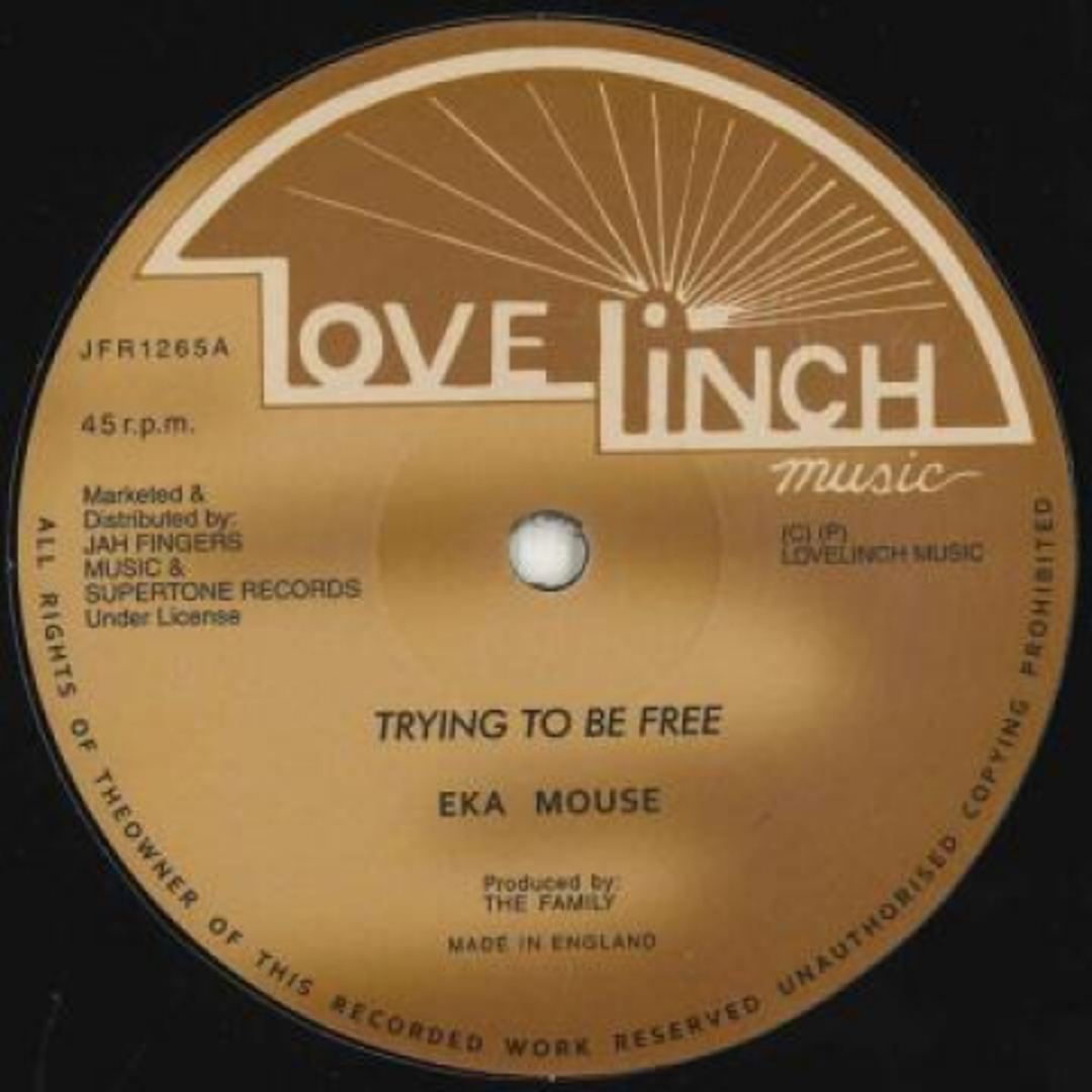 英12” Eek A Mouse Trying To Be Free / No Wicked JFR1265 Lovelinch Music/Jah /00250 エンタメ/ホビーのエンタメ その他(その他)の商品写真