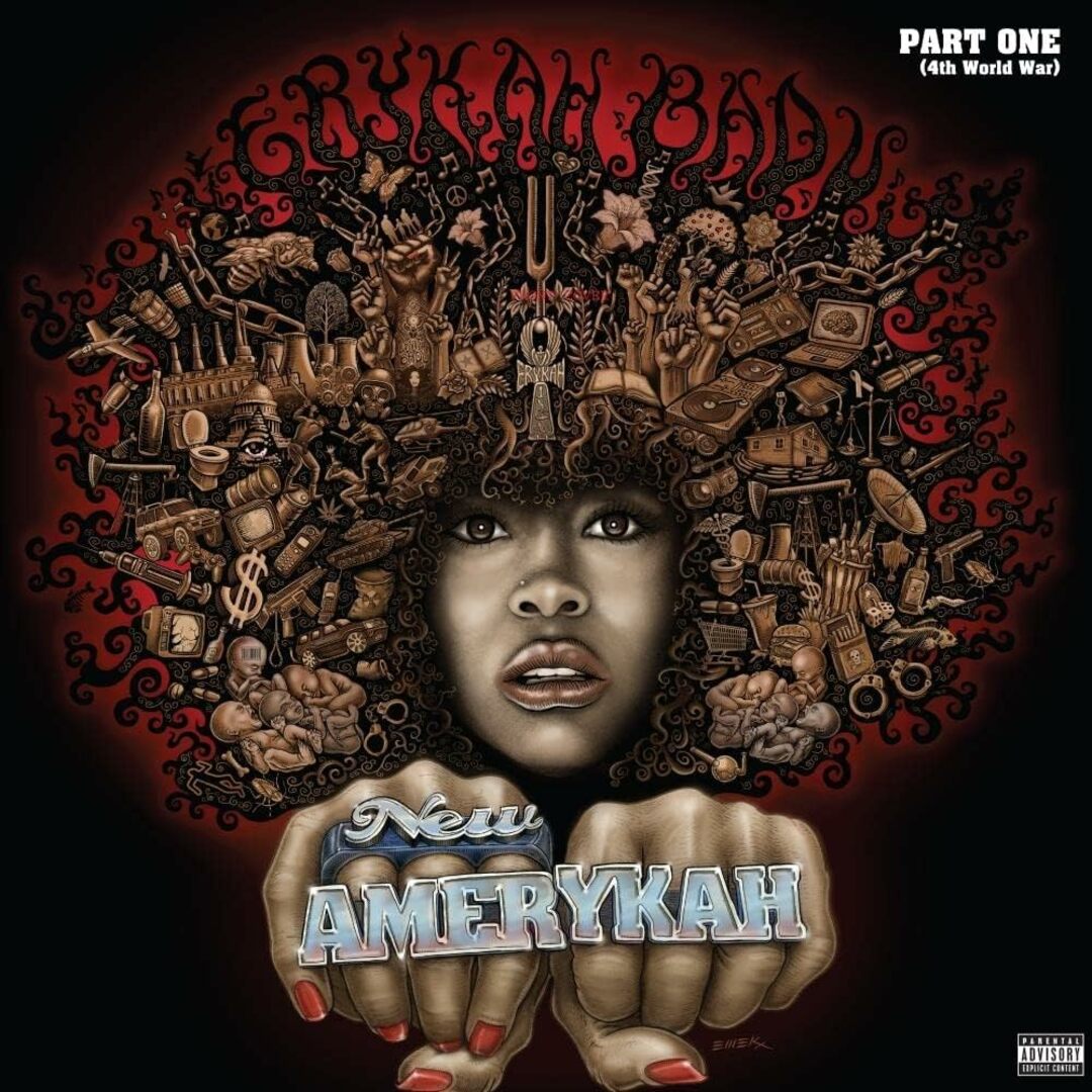 欧2LP Erykah Badu New Amerykah: Part One (4th World War) 00602438283477 Motown /00660 エンタメ/ホビーのエンタメ その他(その他)の商品写真