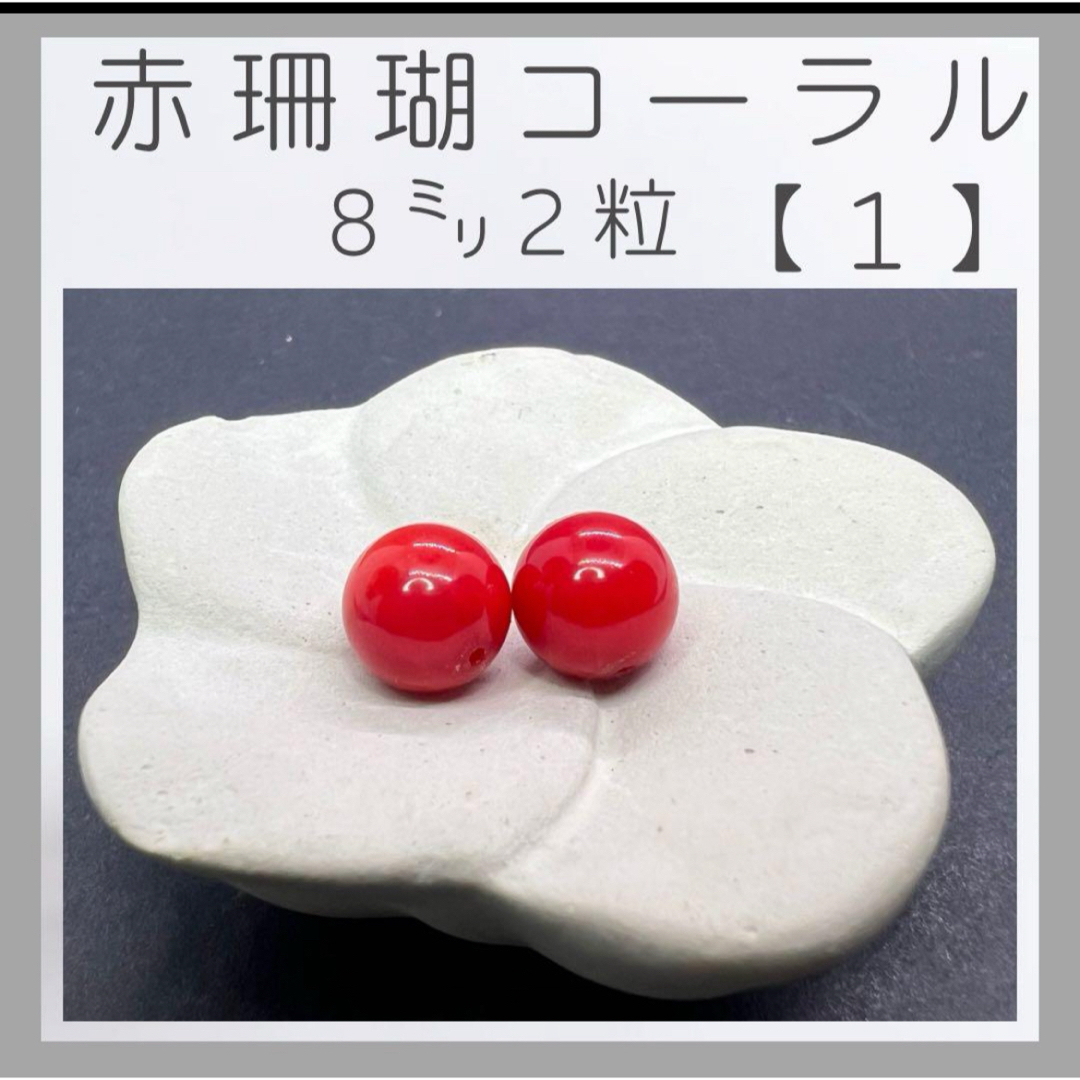 ■コーラル赤珊瑚(染)■(1) ハンドメイドの素材/材料(各種パーツ)の商品写真