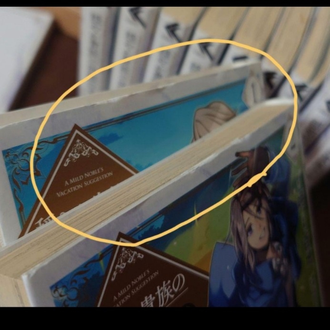 穏やか貴族の休暇のすすめ｡全巻セット エンタメ/ホビーの漫画(全巻セット)の商品写真