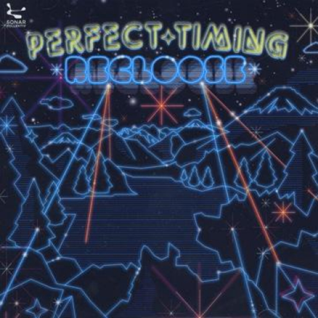 米CD Recloose Perfect Timing SK191CDILLICITY Sonar Kollektiv /00098 エンタメ/ホビーのCD(クラブ/ダンス)の商品写真