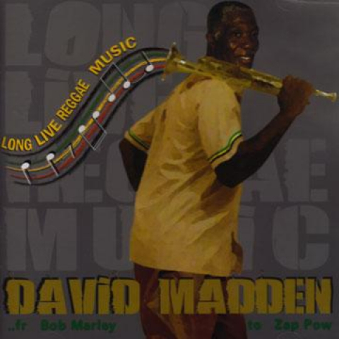 米CD David Madden Long Live Reggae Music LMS1207 LMS Cybernetix /00095 エンタメ/ホビーのCD(ワールドミュージック)の商品写真