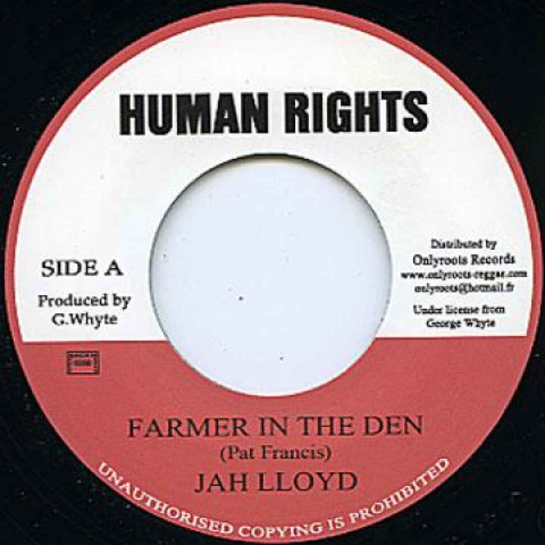 欧7” Jah Lloyd Farmer In The Den / Farmer Dubb IR33 Human Rights/Onlyroo /00048 エンタメ/ホビーのエンタメ その他(その他)の商品写真