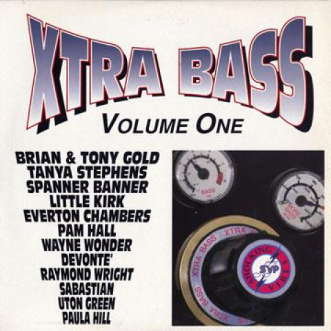 英LP Various Extra Bass (Mr. Bassie Rhythm) SVLP005 Shocking Vibes /00235 エンタメ/ホビーのエンタメ その他(その他)の商品写真