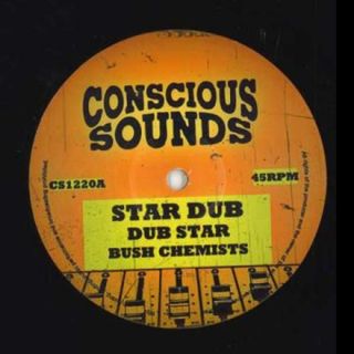 英12” Bush Chemists / Rapha Pico; Do Star Dub; Dub Star / Change Must Come; Changing Dub CS1220 Conscious Sounds UK /00200(その他)