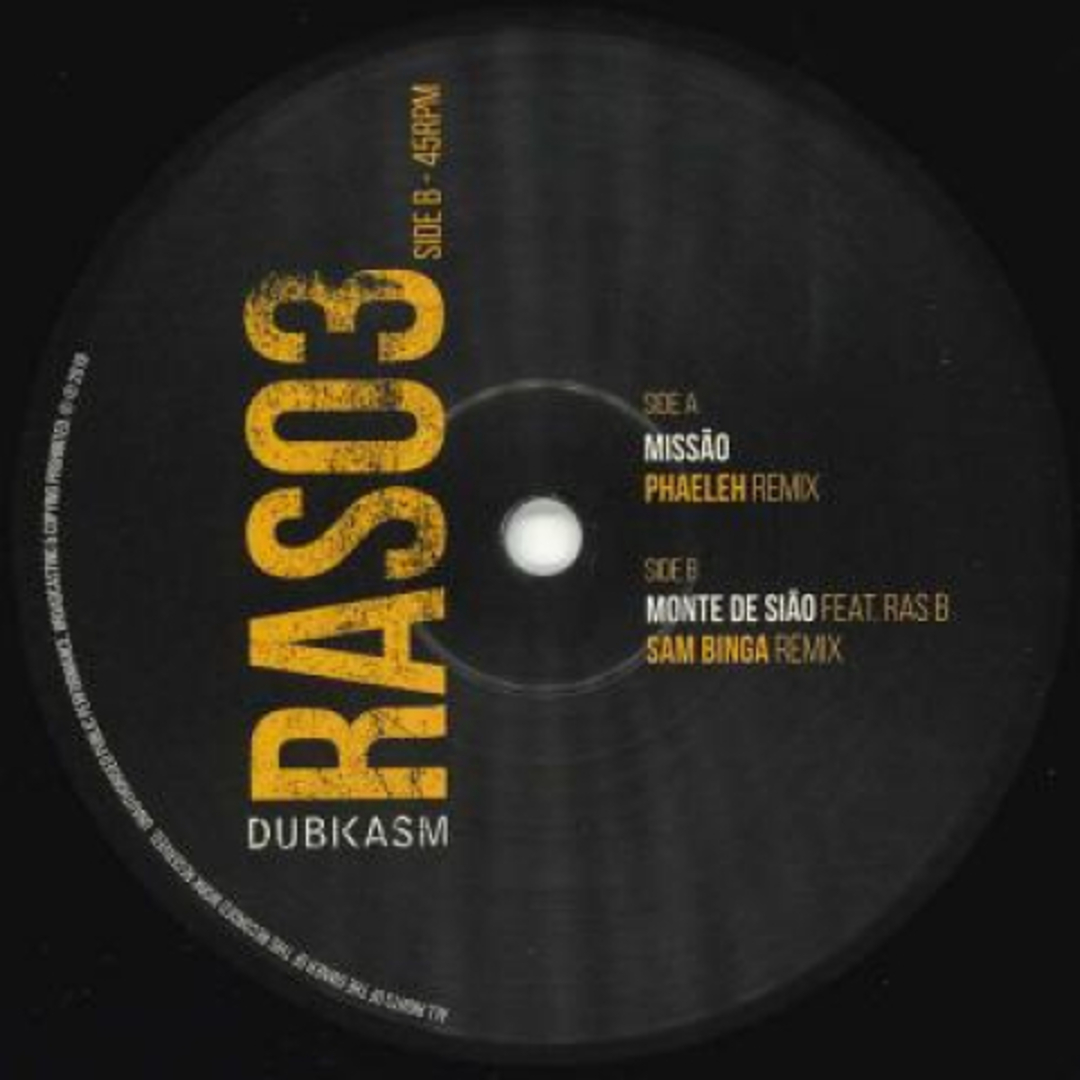 英10” Dubkasm / Dubkasm, Ras B Missao (Phaeleh Remix) / Monte De Siao (Sam Binga R RAS03 Rastrumentals /00130 エンタメ/ホビーのエンタメ その他(その他)の商品写真
