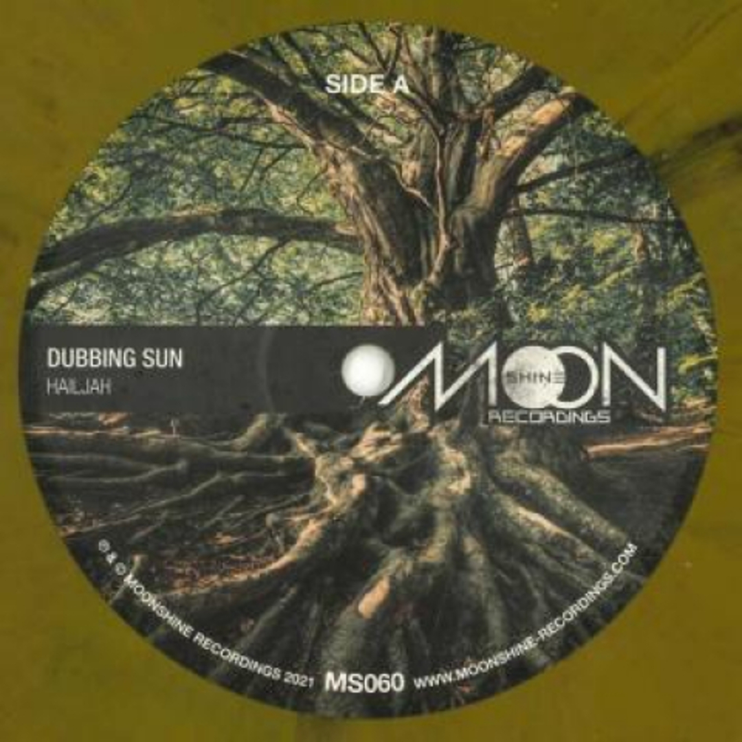 英10” Dubbing Sun Hail Jah / Evilman MS060 Moonshine /00144 エンタメ/ホビーのエンタメ その他(その他)の商品写真