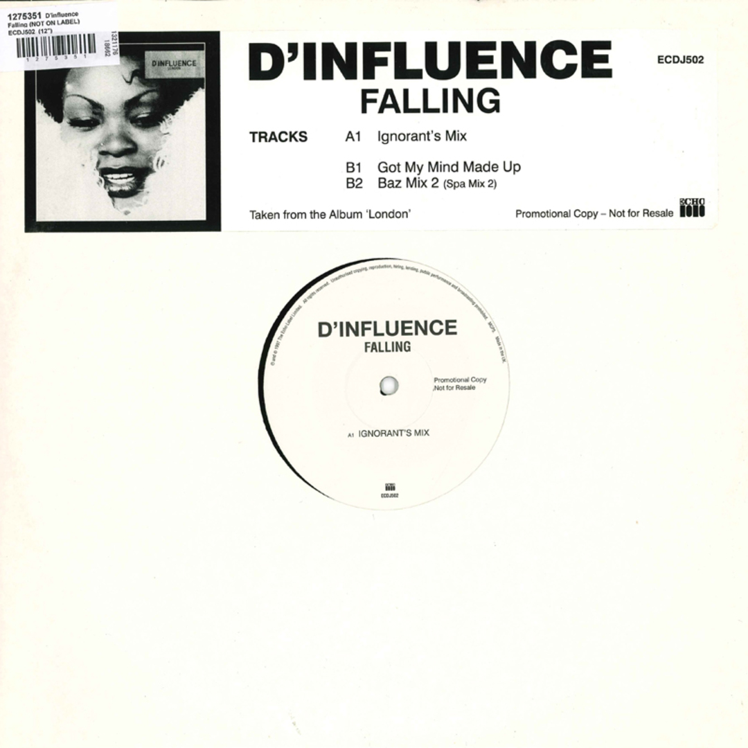 国不明12” Dinfluence Falling ECDJ502 NOT ON LABEL /00250 エンタメ/ホビーのエンタメ その他(その他)の商品写真