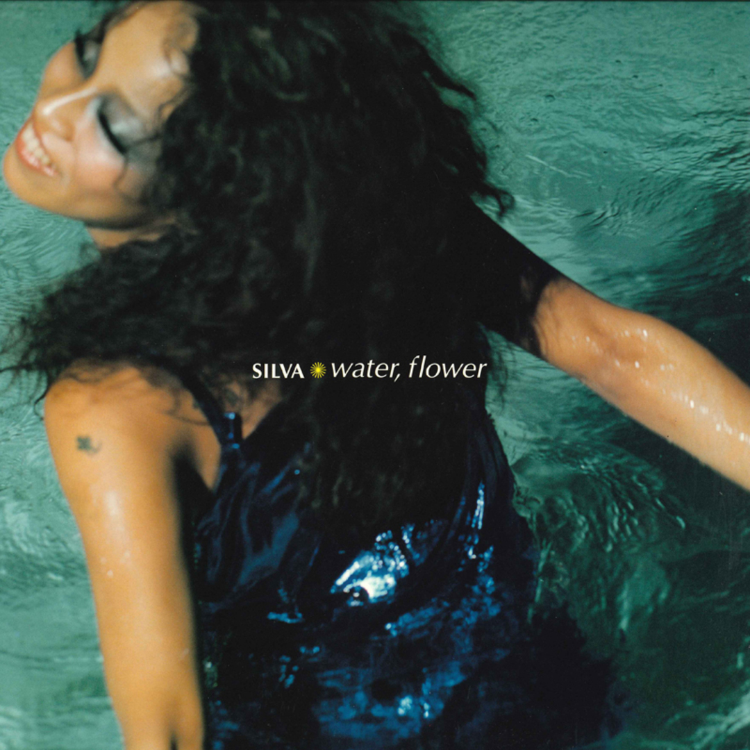 12” Silva Water, Flower HIHGJ1001 BOOGALOO /00250 エンタメ/ホビーのエンタメ その他(その他)の商品写真