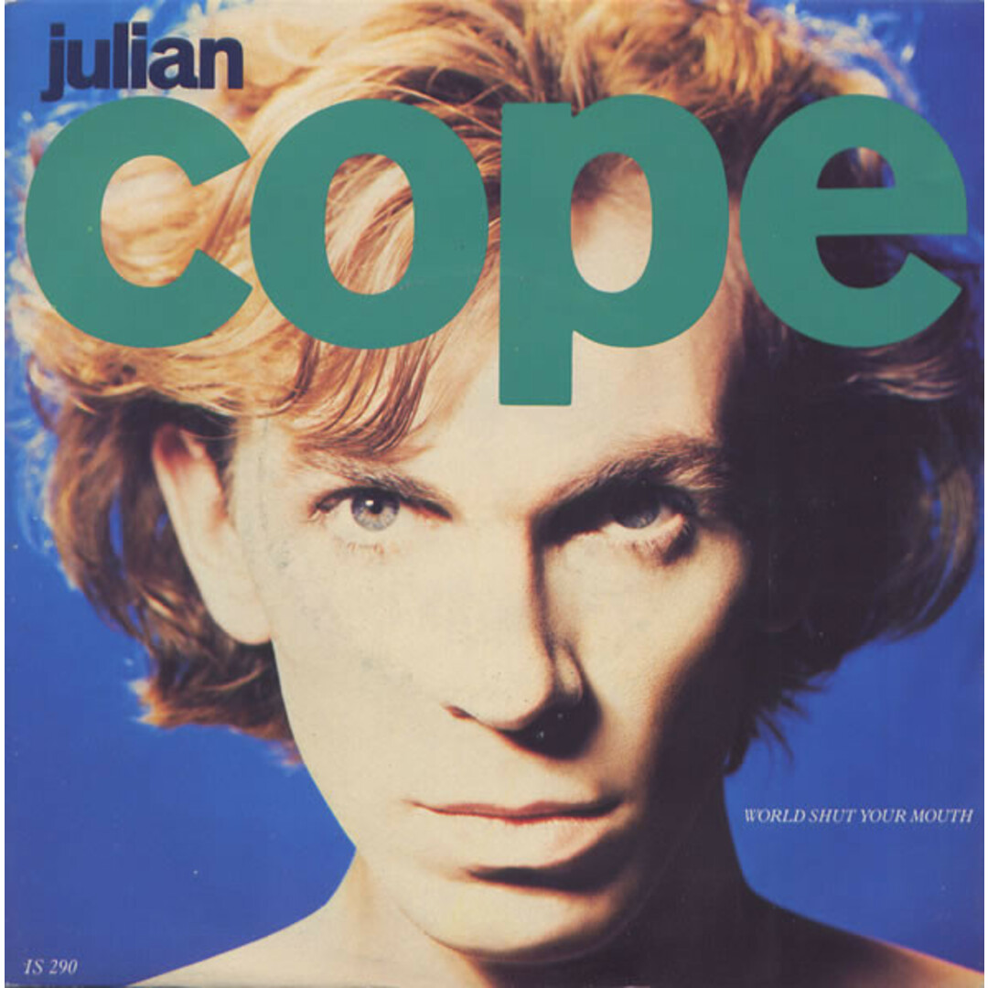 英7” Julian Cope World Shut Your Mouth IS290 Island Records /00080 エンタメ/ホビーのエンタメ その他(その他)の商品写真
