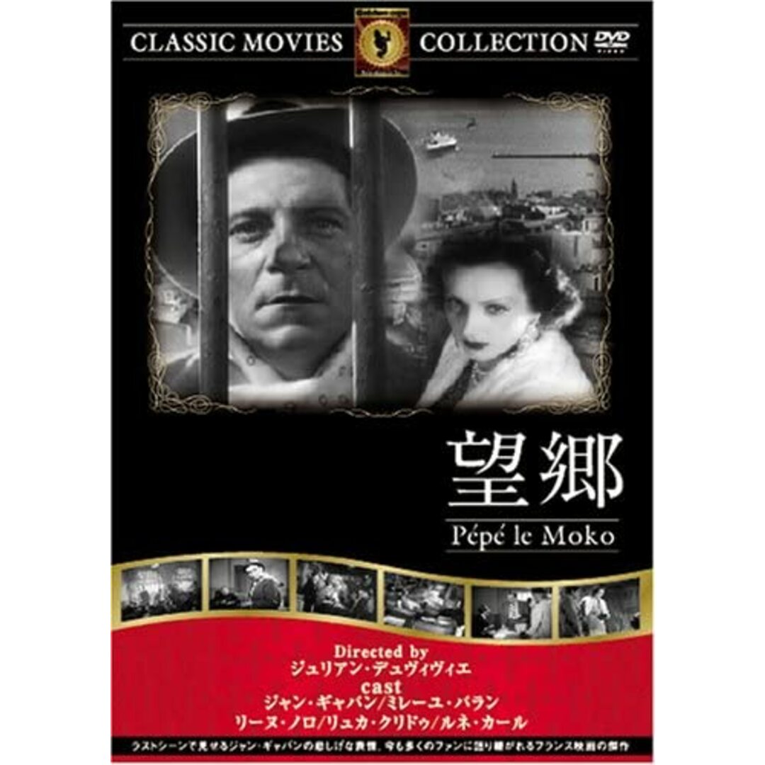 DVD 望郷 FRT171 /00110 エンタメ/ホビーのDVD/ブルーレイ(その他)の商品写真