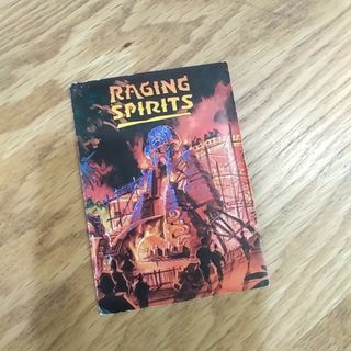ディズニーシー アトラクション レイジングスピリッツ チャレンジャー証明書 男(遊園地/テーマパーク)