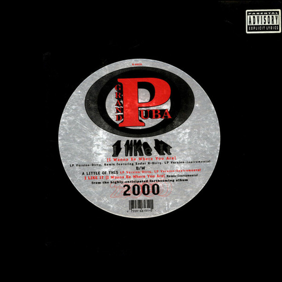 米12” Grand Puba I Like It (I Wanna Be Where You Are) / A Little Of 066131 ELEKTRA /00250 エンタメ/ホビーのエンタメ その他(その他)の商品写真