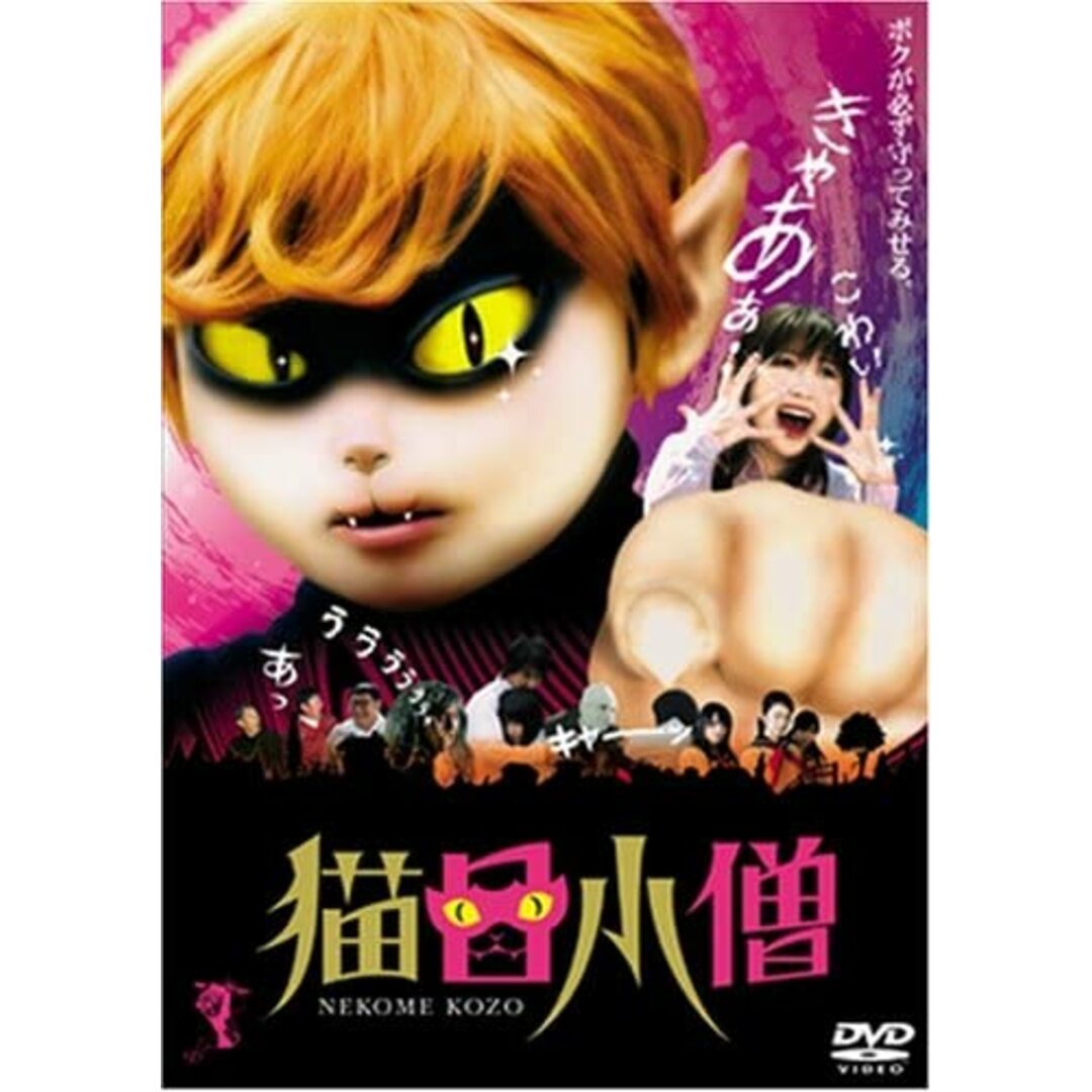 DVD DVD 猫目小僧 未開封 /00110 エンタメ/ホビーのDVD/ブルーレイ(その他)の商品写真