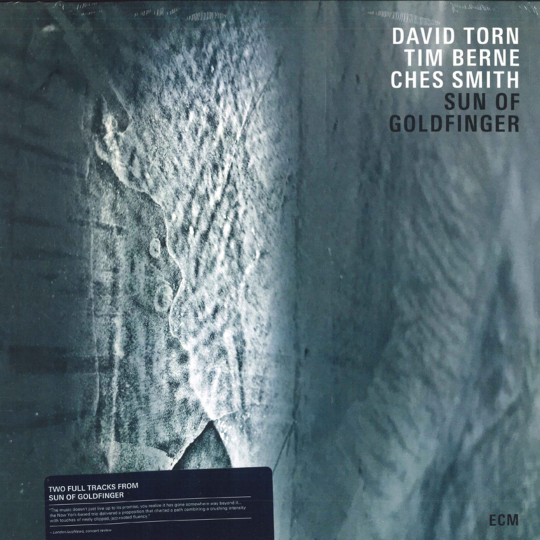 米LP David Torn / Tim Berne / Ches Sun Of Goldfinger ECM2613 ECM Records /00260 エンタメ/ホビーのエンタメ その他(その他)の商品写真