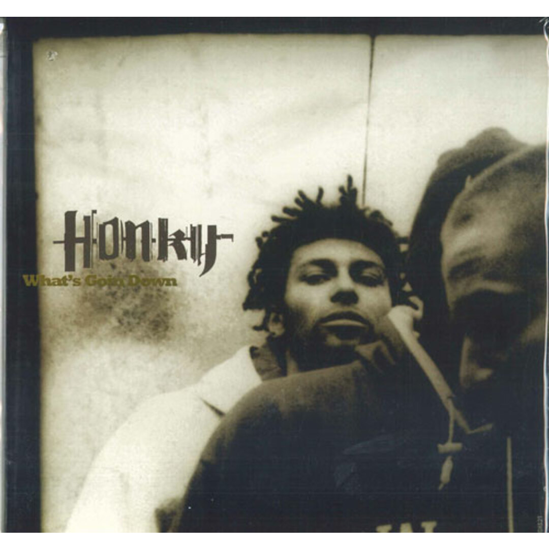 欧LP Honky Whats Goin Down HIGHS2T Higher Ground, Colum /00260 エンタメ/ホビーのエンタメ その他(その他)の商品写真