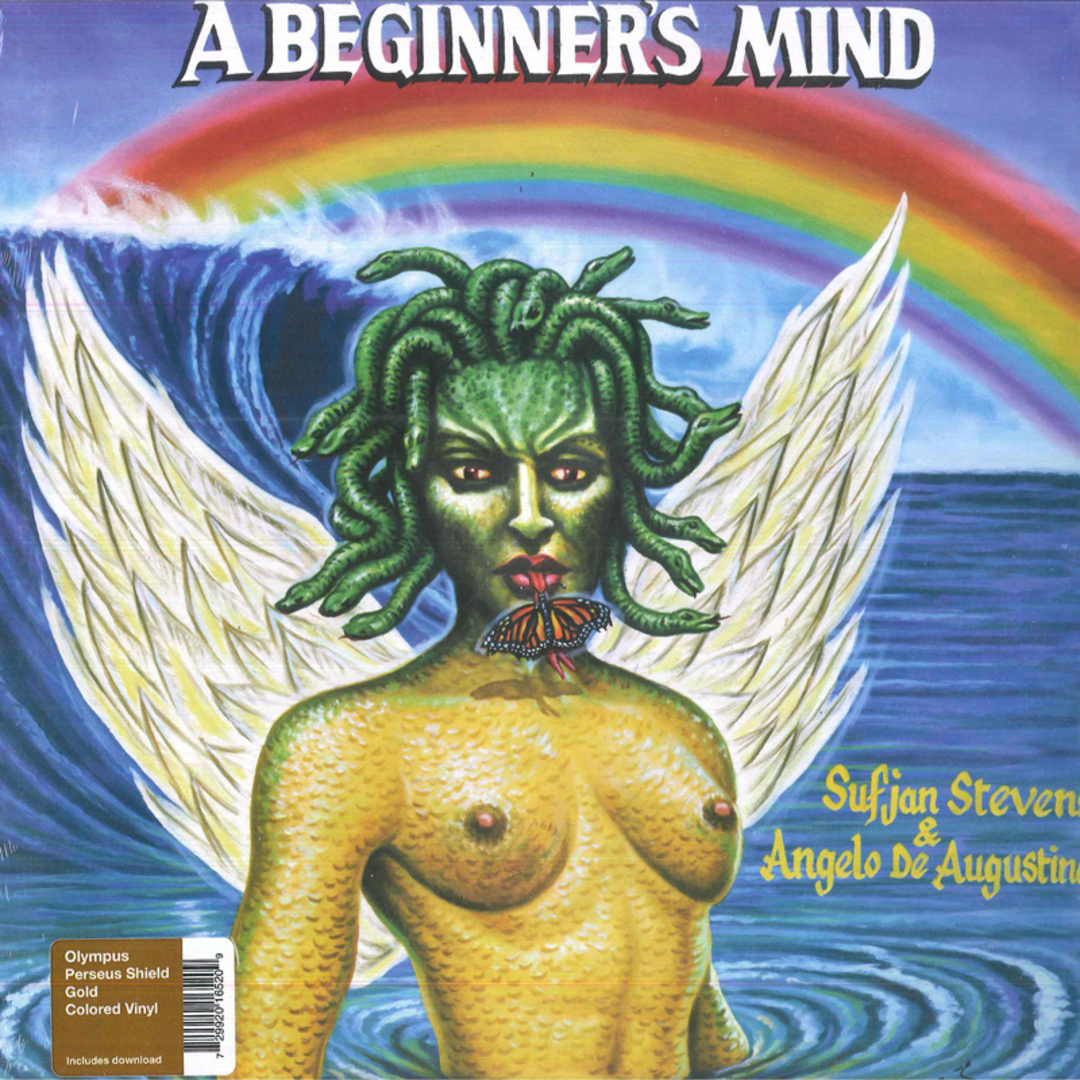 米、加LP Sufjan Stevens & Angelo De Aug A Beginners Mind AKR143 Asthmatic Kitty Reco /00260 エンタメ/ホビーのエンタメ その他(その他)の商品写真