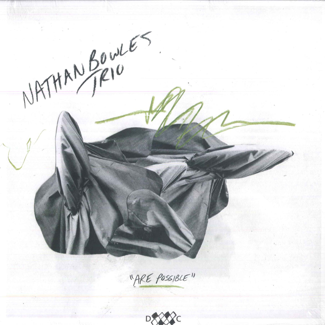 米、欧LP Nathan Bowles Trio Are Possible DC881 Drag City Records /00260 エンタメ/ホビーのエンタメ その他(その他)の商品写真