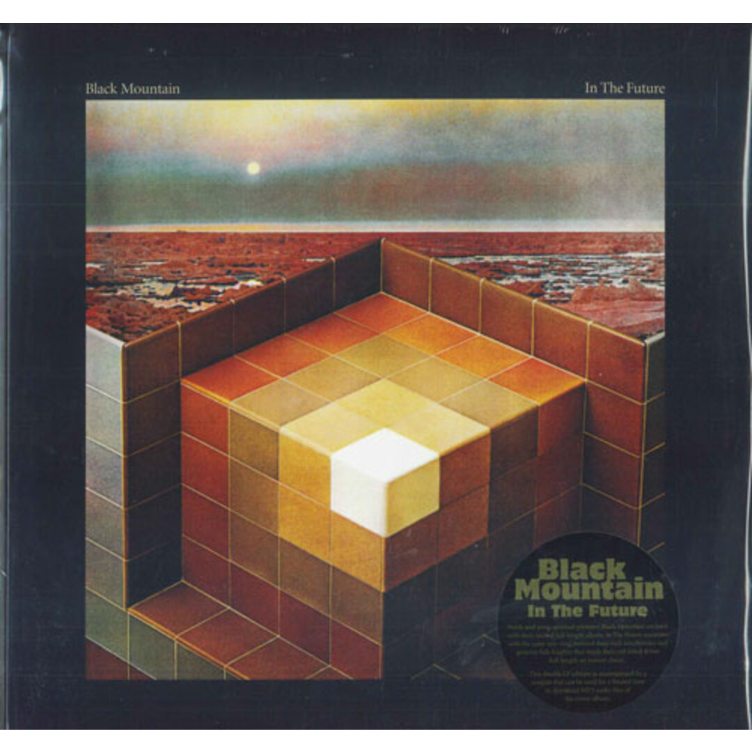 米2LP Black Mountain In The Future JAG90 Jagjaguwar /00660 エンタメ/ホビーのエンタメ その他(その他)の商品写真
