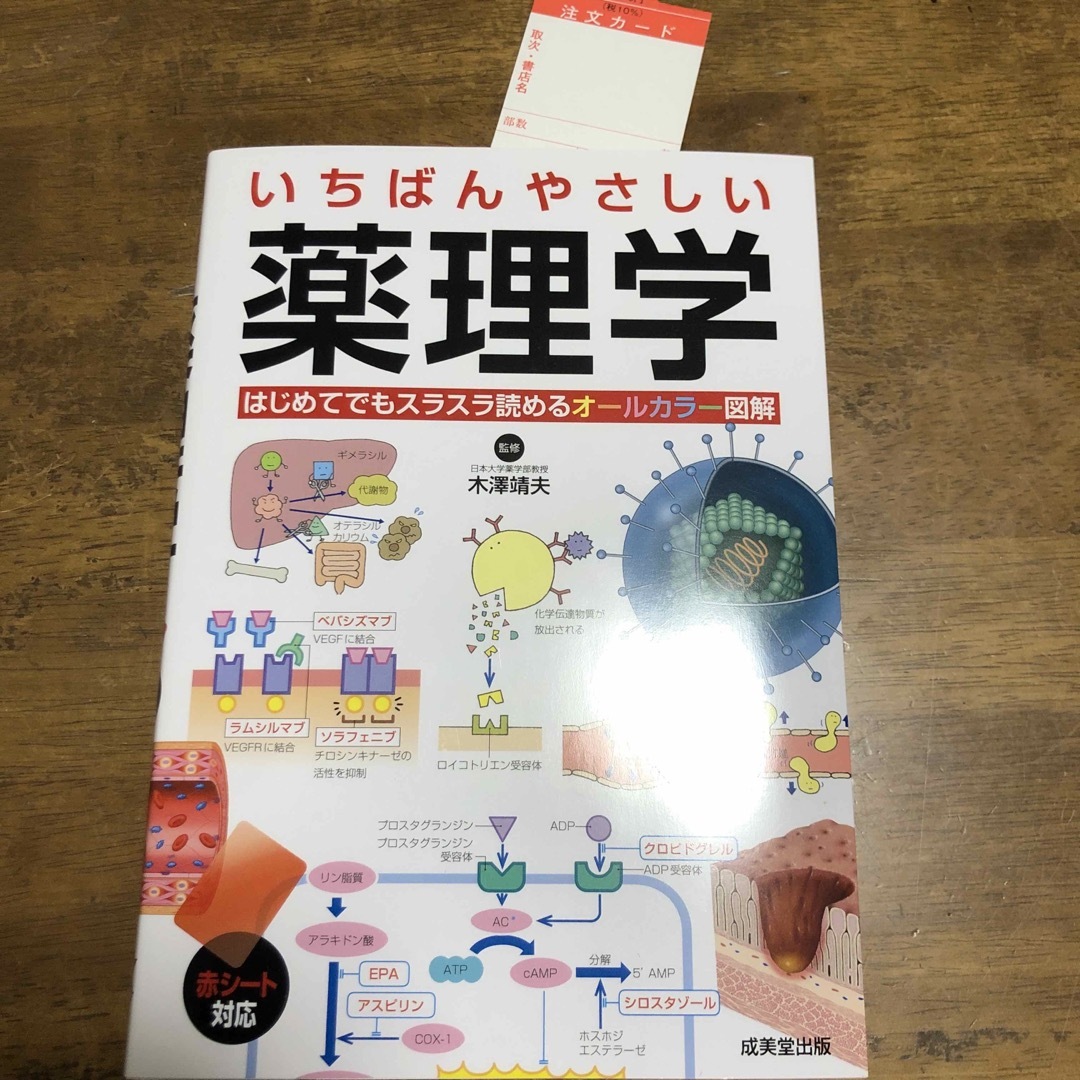 いちばんやさしい薬理学 エンタメ/ホビーの本(健康/医学)の商品写真