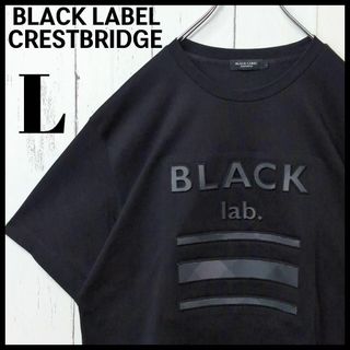 ブラックレーベルクレストブリッジ(BLACK LABEL CRESTBRIDGE)のBLACK LABEL CRESTBRIDGE 立体ロゴ ロゴチェック Tシャツ(Tシャツ/カットソー(半袖/袖なし))