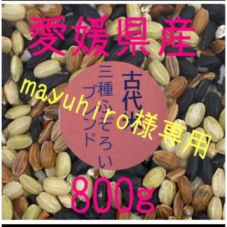 mayuhiro様専用　古代米3種ふぞろいブレンド　愛媛県産　800ｇ(米/穀物)
