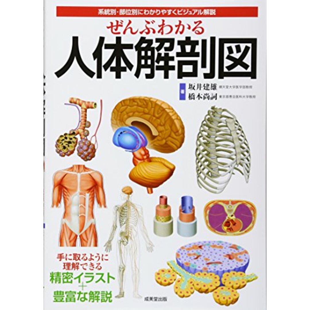 ぜんぶわかる人体解剖図―系統別・部位別にわかりやすくビジュアル解説/坂井 建雄、橋本 尚詞 エンタメ/ホビーの本(健康/医学)の商品写真