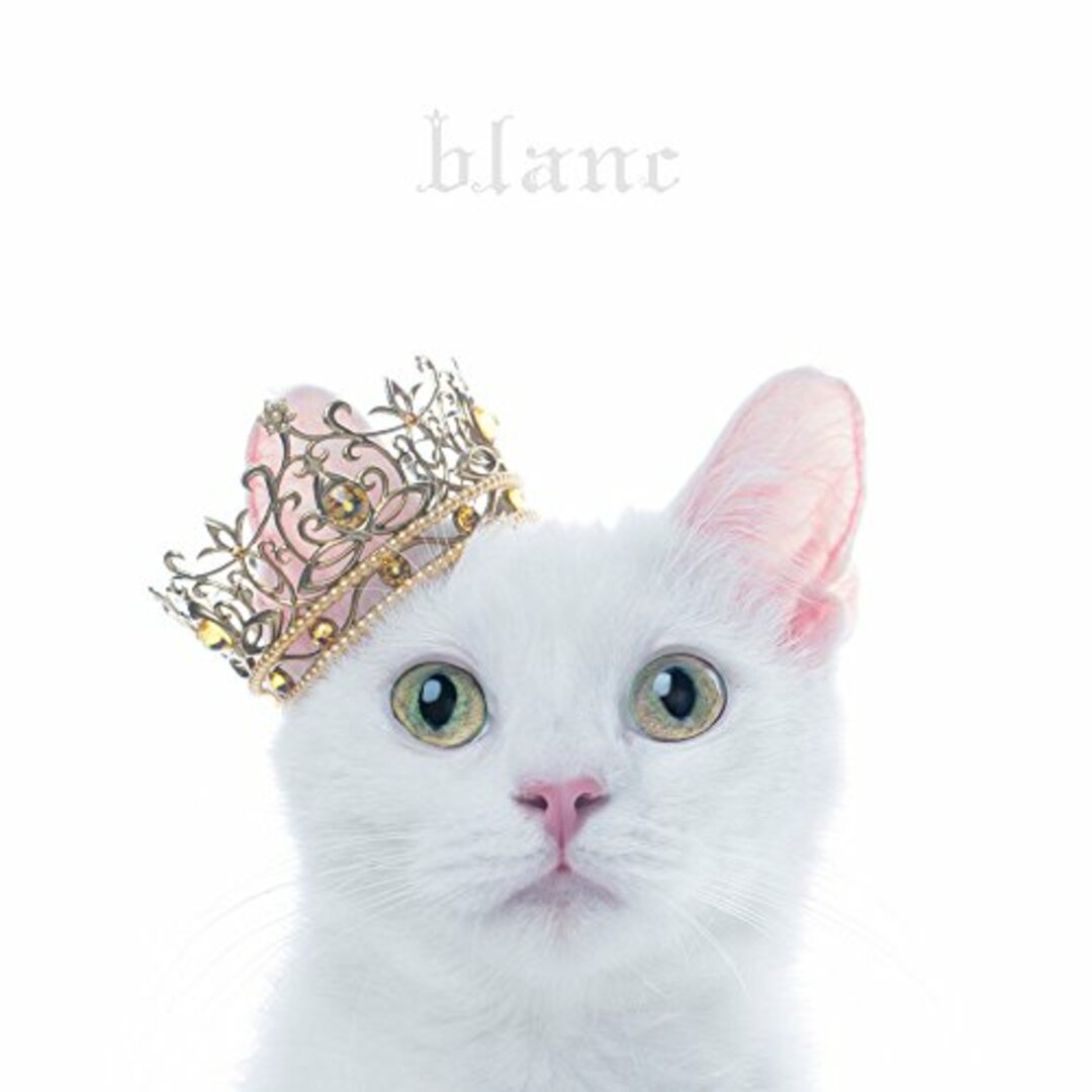 (CD)BEST SELECTION “blanc/Aimer エンタメ/ホビーのCD(ポップス/ロック(邦楽))の商品写真