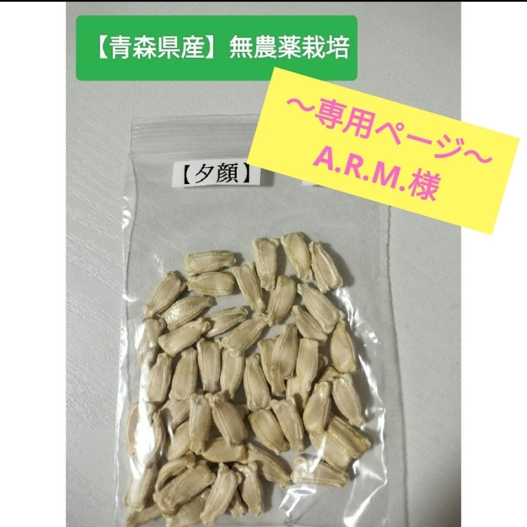 🌺A.R.M.様🌺〜専用ページ〜 夕顔・ゆうがお【種・タネ】野菜 食品/飲料/酒の食品(野菜)の商品写真