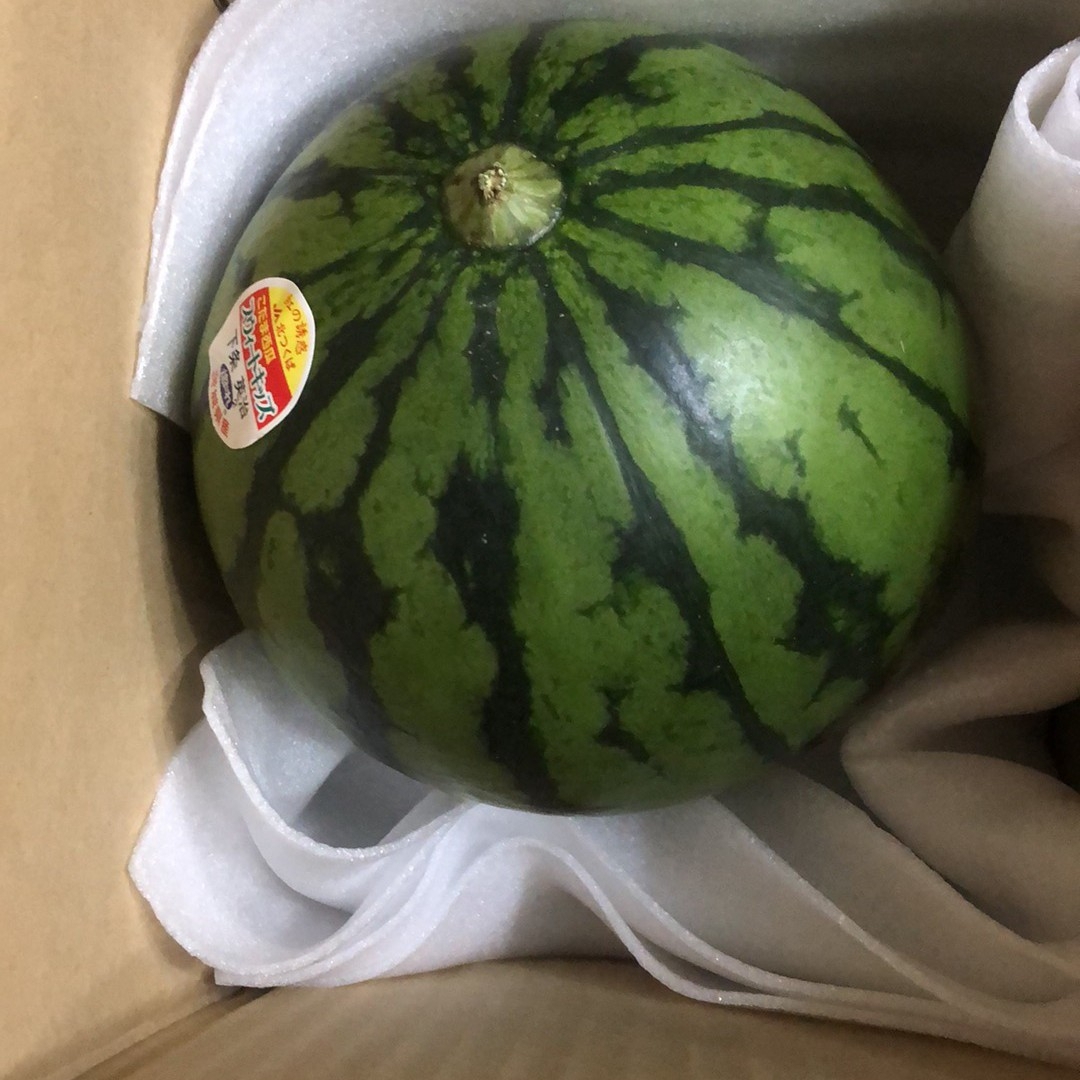 388.数量限定小玉西瓜 スイカ1玉入り 食品/飲料/酒の食品(フルーツ)の商品写真