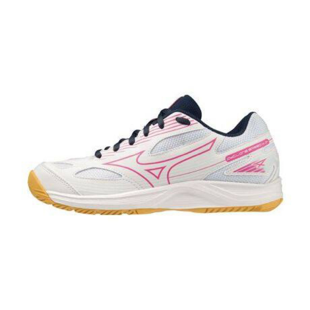 MIZUNO(ミズノ)のバレーボールセット 専用出品 スポーツ/アウトドアのスポーツ/アウトドア その他(バレーボール)の商品写真