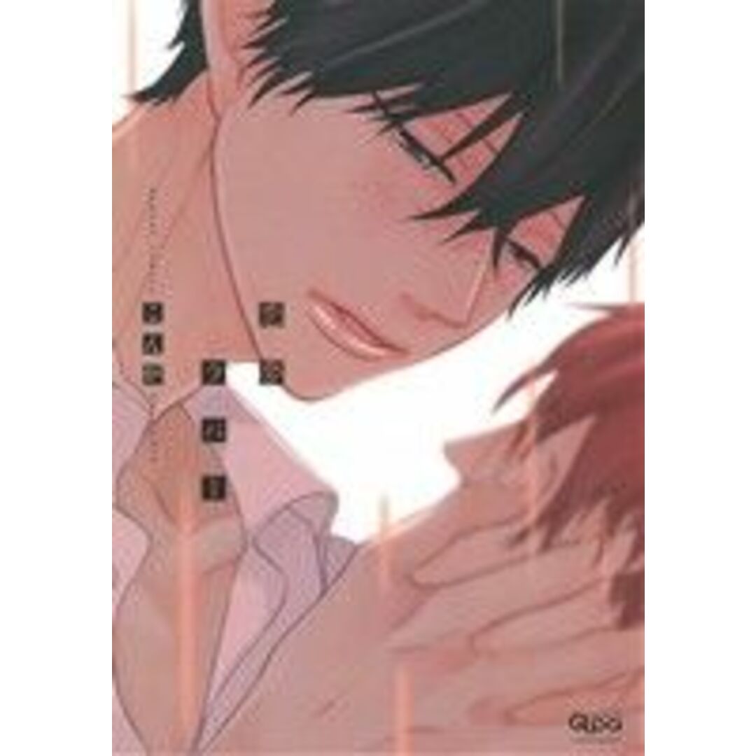 恋夢ラバー バンブーC Qpaコレクション/こん炉(著者) エンタメ/ホビーの漫画(ボーイズラブ(BL))の商品写真