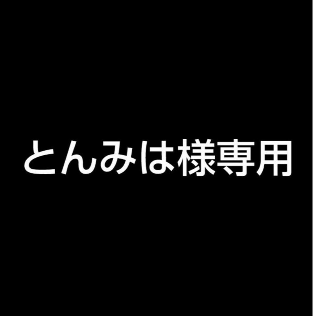とんみは様専用 ハンドメイドのハンドメイド その他(その他)の商品写真