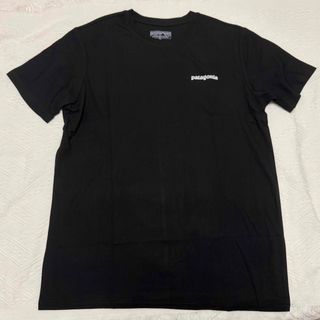 patagonia - 極美品 patagonia Tシャツ M ZenFly 禅 廃番希少品