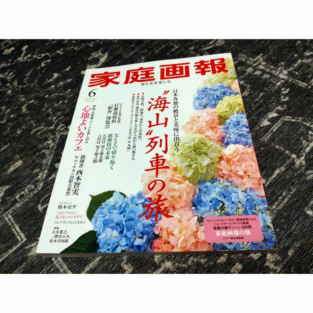 家庭画報 2025年6月号 エンタメ/ホビーの本(趣味/スポーツ/実用)の商品写真