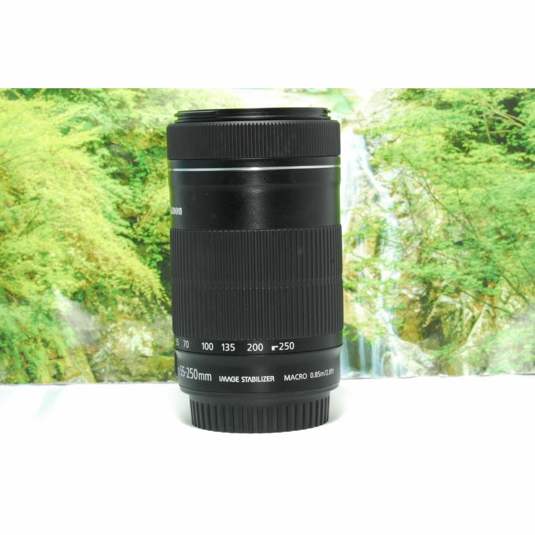 Canon - ✨高性能な望遠レンズ✨Canon EF-S 55-250㎜ IS STM Canon - ✨高性能な望遠レンズ✨Canon EF-S 55-250㎜ IS STM