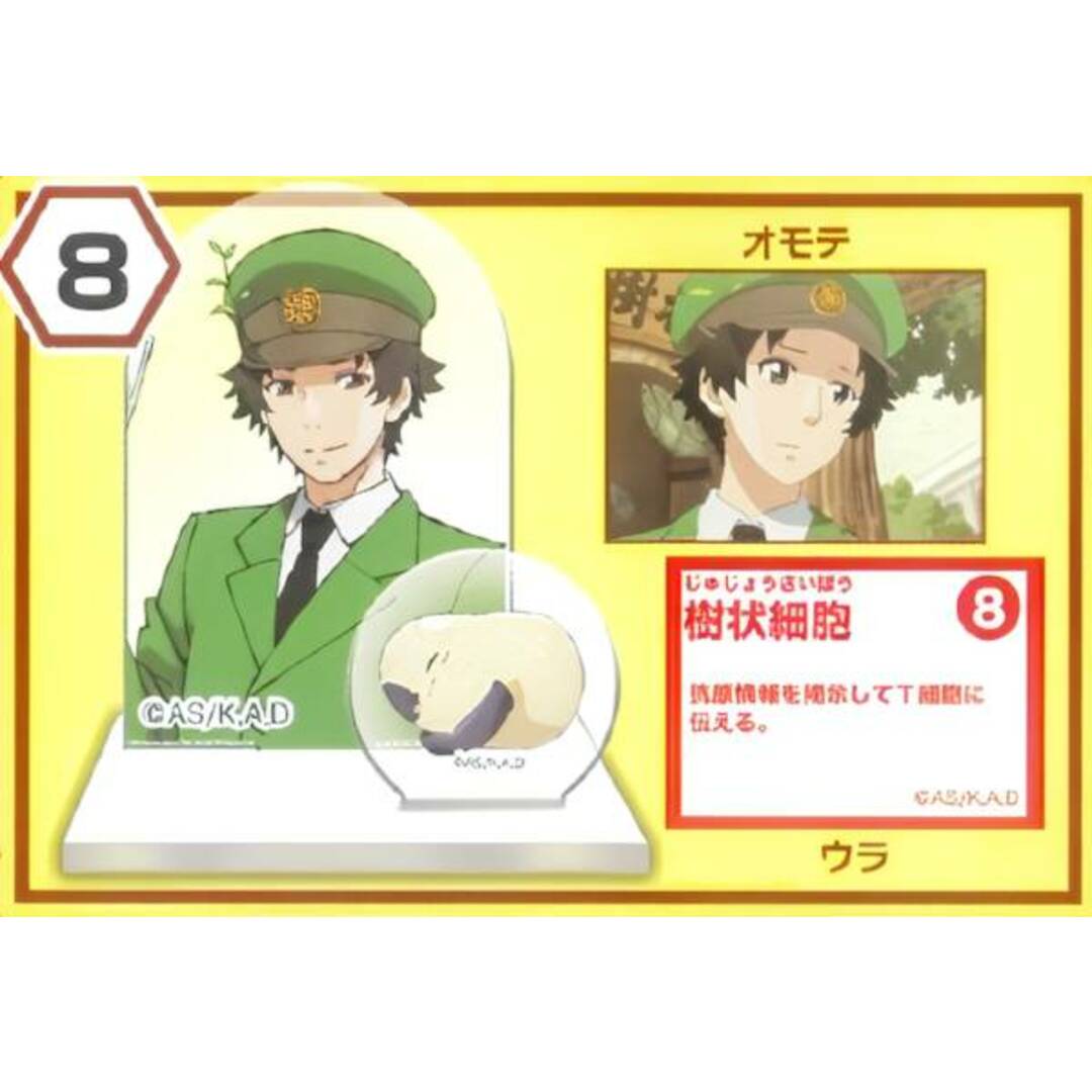 【8.樹状細胞】 チョコエッグキッズ はたらく細胞 エンタメ/ホビーのアニメグッズ(その他)の商品写真