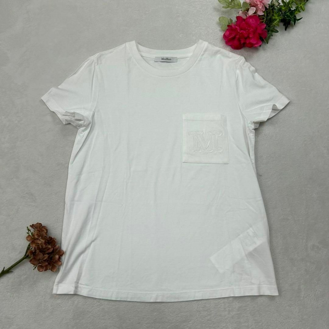G223 美品 M マックスマーラ クルーネック 白 Tシャツ