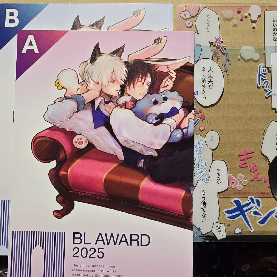 BLアワード 2025 フェア 特典 小冊子 A B フレームカード 攻め 受け エンタメ/ホビーの漫画(ボーイズラブ(BL))の商品写真