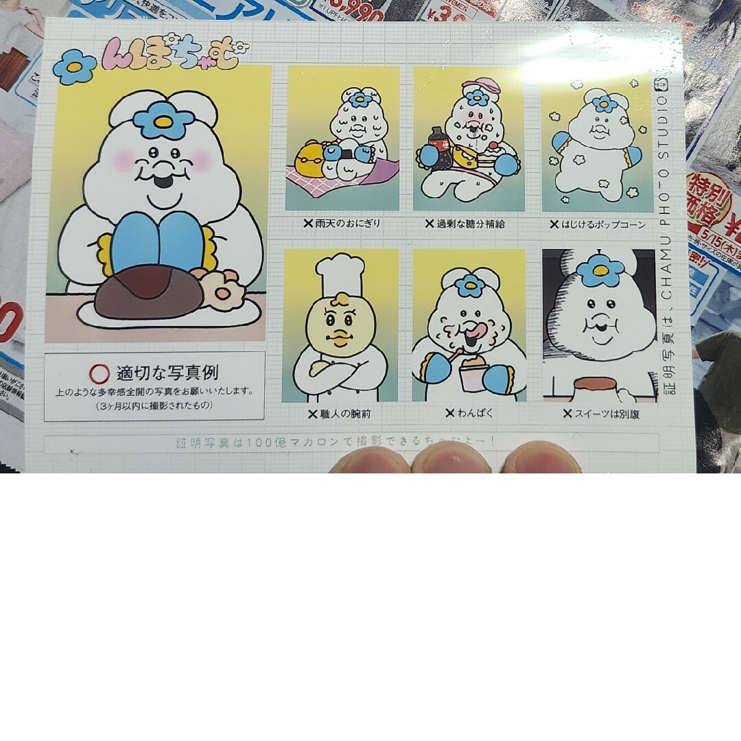 んぽちゃむ ローソンプリント 証明写真 エンタメ/ホビーのおもちゃ/ぬいぐるみ(キャラクターグッズ)の商品写真