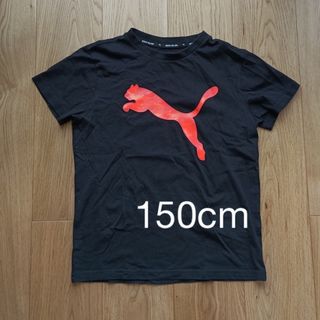 プーマ(PUMA)のプーマ　半袖　Tシャツ　150cm 黒　ブラック　オレンジ(Tシャツ/カットソー)