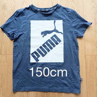 プーマ(PUMA)のプーマ　半袖　Tシャツ　150cm(Tシャツ/カットソー)