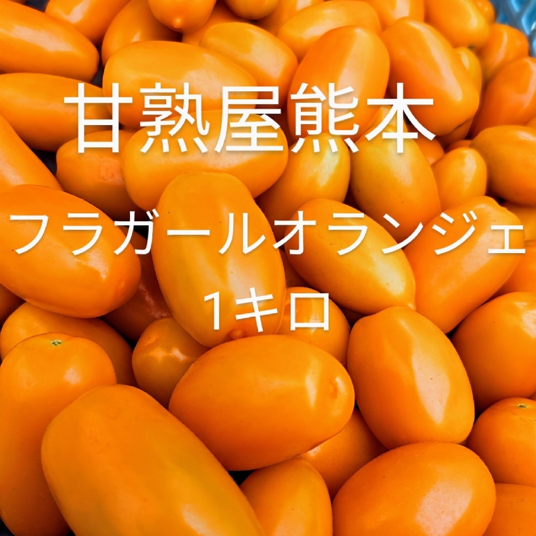 ミニトマト フラガールオランジェ1キロ 食品/飲料/酒の食品(野菜)の商品写真