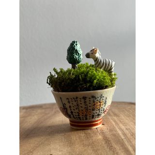 【新品】苔(サファリ セット)(置物)