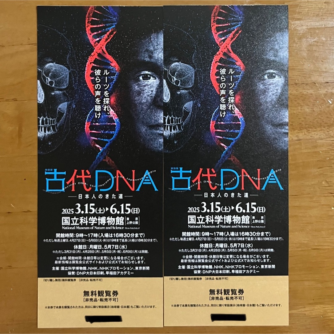国立科学博物館 古代DNA展 入場券 2枚 チケットの施設利用券(美術館/博物館)の商品写真