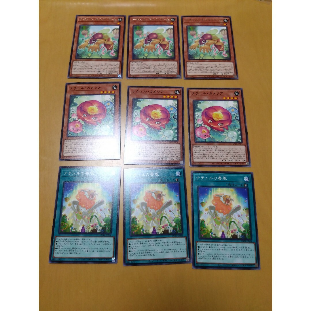 遊戯王(ユウギオウ)の遊戯王 ナチュル まとめ エンタメ/ホビーのトレーディングカード(シングルカード)の商品写真