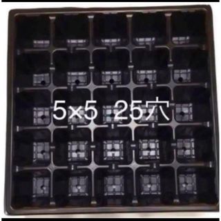 多肉植物に^o^ セルトレイ 3枚セット セダム カット苗付き(その他)