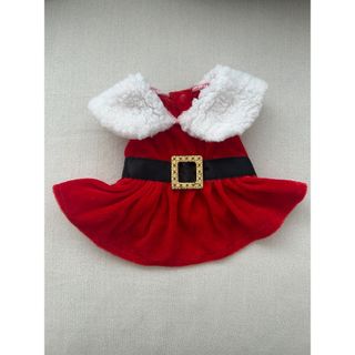 犬　クリスマス服(犬)